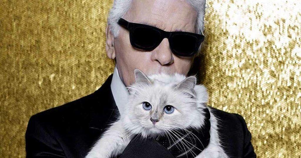 Choupette, la gatta ereditiera che ruba la scena anche ai divi