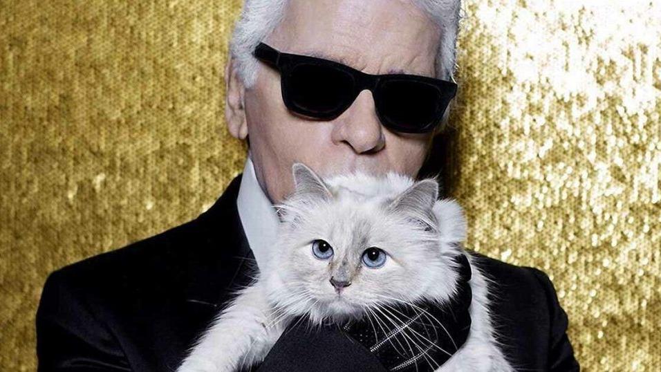 Choupette, la gatta ereditiera che ruba la scena anche ai divi