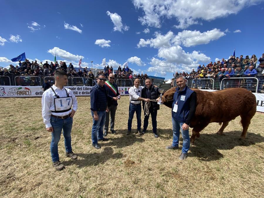 
	Sansone con i proprietari ha vinto nella categoria Limousine

