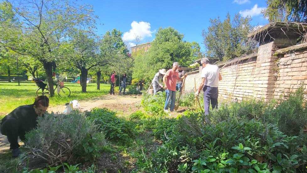 Al Parco Santa Maria ritorna a fiorire l’orto di comunità