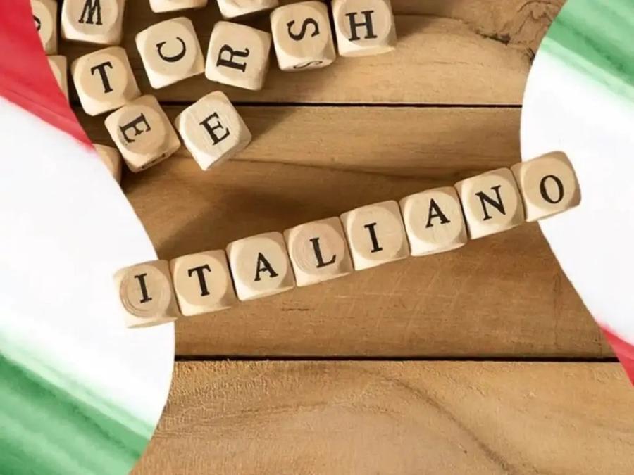 Allerta di Marazzini: «In Italia si tenta di emarginare la nostra lingua»