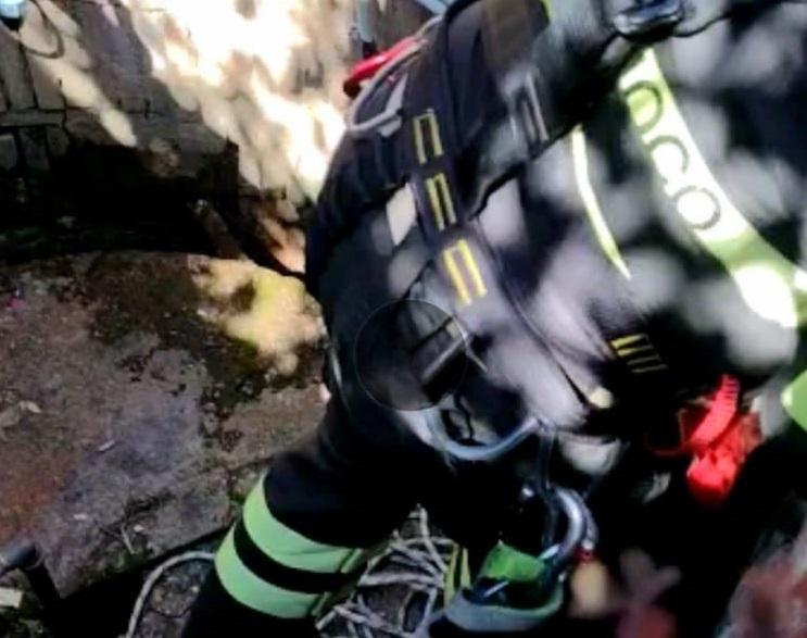 Cade in un pozzo, 76enne salvato dai vigili del fuoco