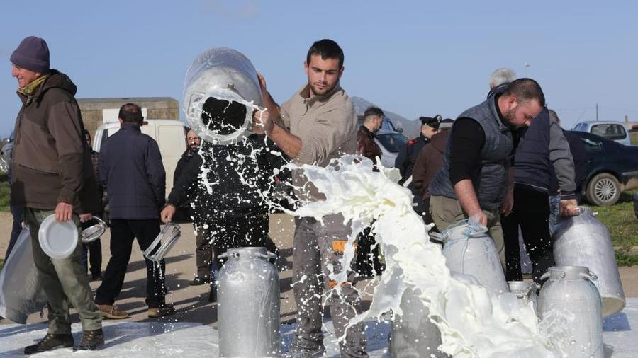 Un'immagine delle proteste dei pastori nel 2019 per il prezzo del latte (foto mauro chessa)