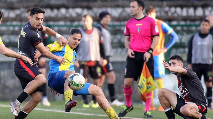 Carrarese, rush finale per il 4º posto: gara decisiva in casa della Vis Pesaro