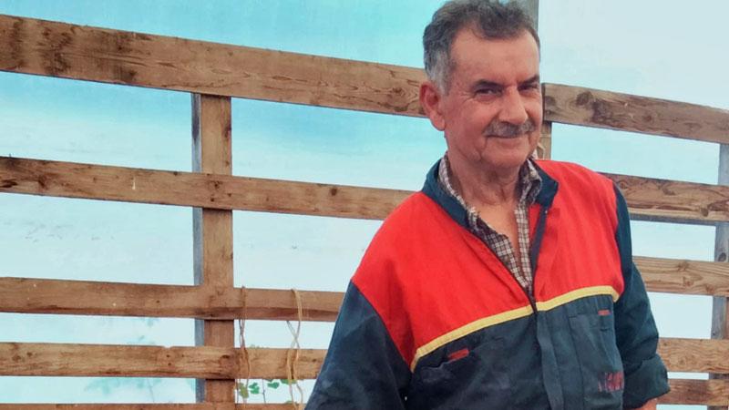 Capannori, il decano dei pastori: «Aggrediti dai lupi per sette volte, ho ancora negli occhi la scena di una pecora azzannata»