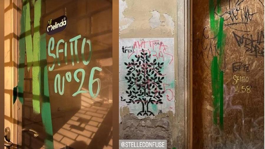 Modena i “bambù – denuncia” degli spazi sfitti in centro storico segnalati con un blitz di Freaks of Nature