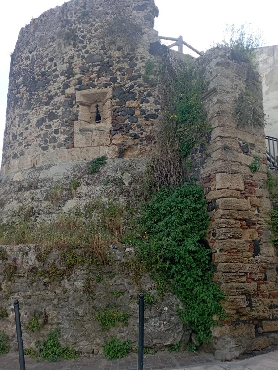 
	Un dettaglio della torre di Portixedda infestata dalle erbacce

