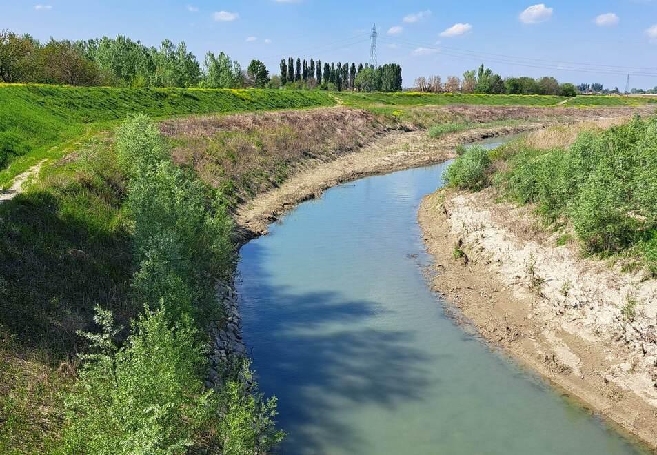 Modena. Tane, legna e rifiuti: 169 segnalazioni ad Aipo