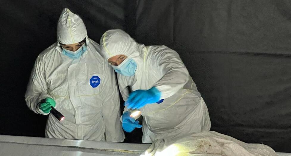 Olbia, esame del Dna per il compagno di Rosa Bechere scomparsa da 5 mesi