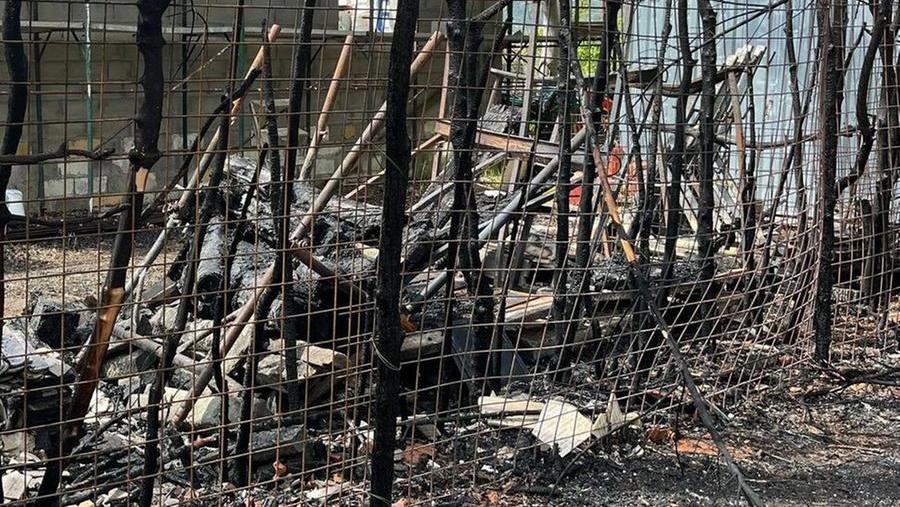 L'area distrutta dalle fiamme (Foto di Franco Silvi)