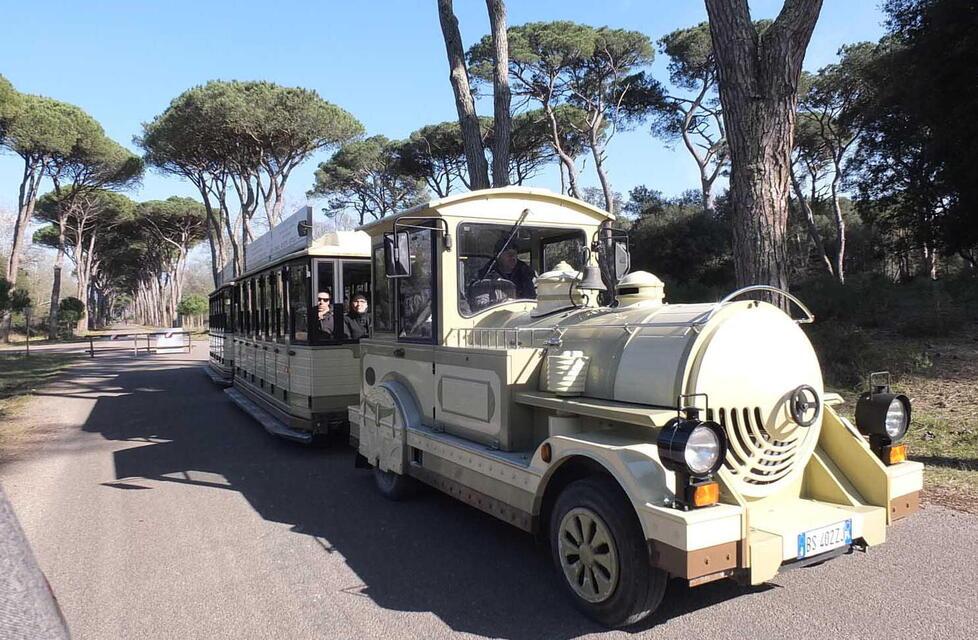 l trenino turistico in sosta all’interno della Tenuta di San Rossore