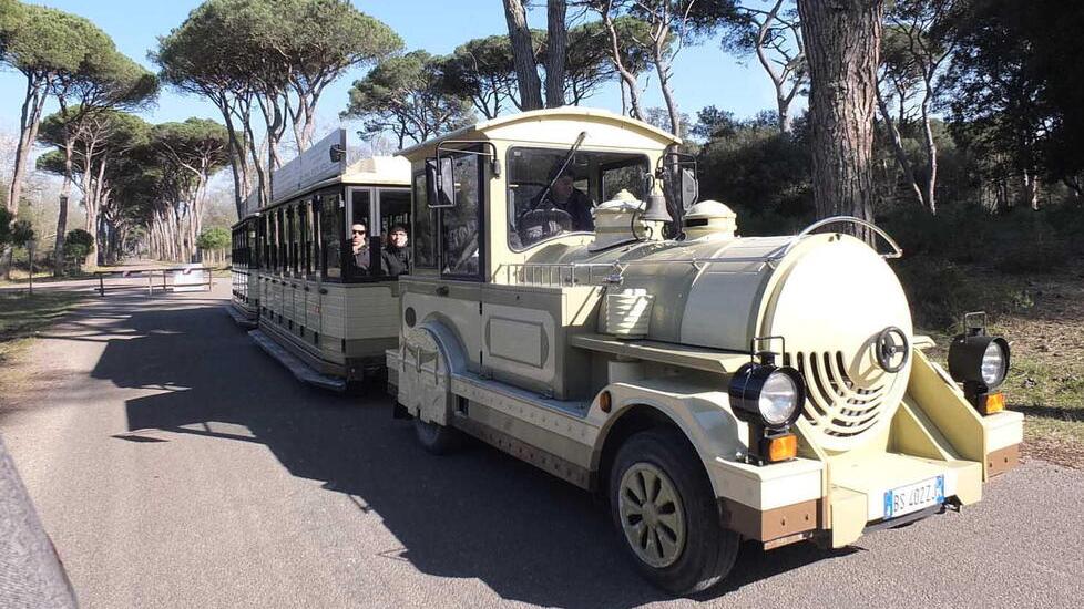 l trenino turistico in sosta all’interno della Tenuta di San Rossore