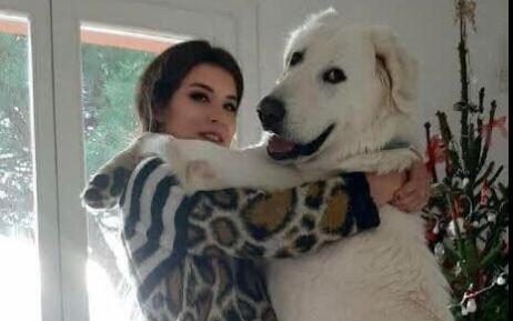 Non trova un veterinario disponibile all’Elba, il suo cane Oscar muore sul traghetto per San Vincenzo