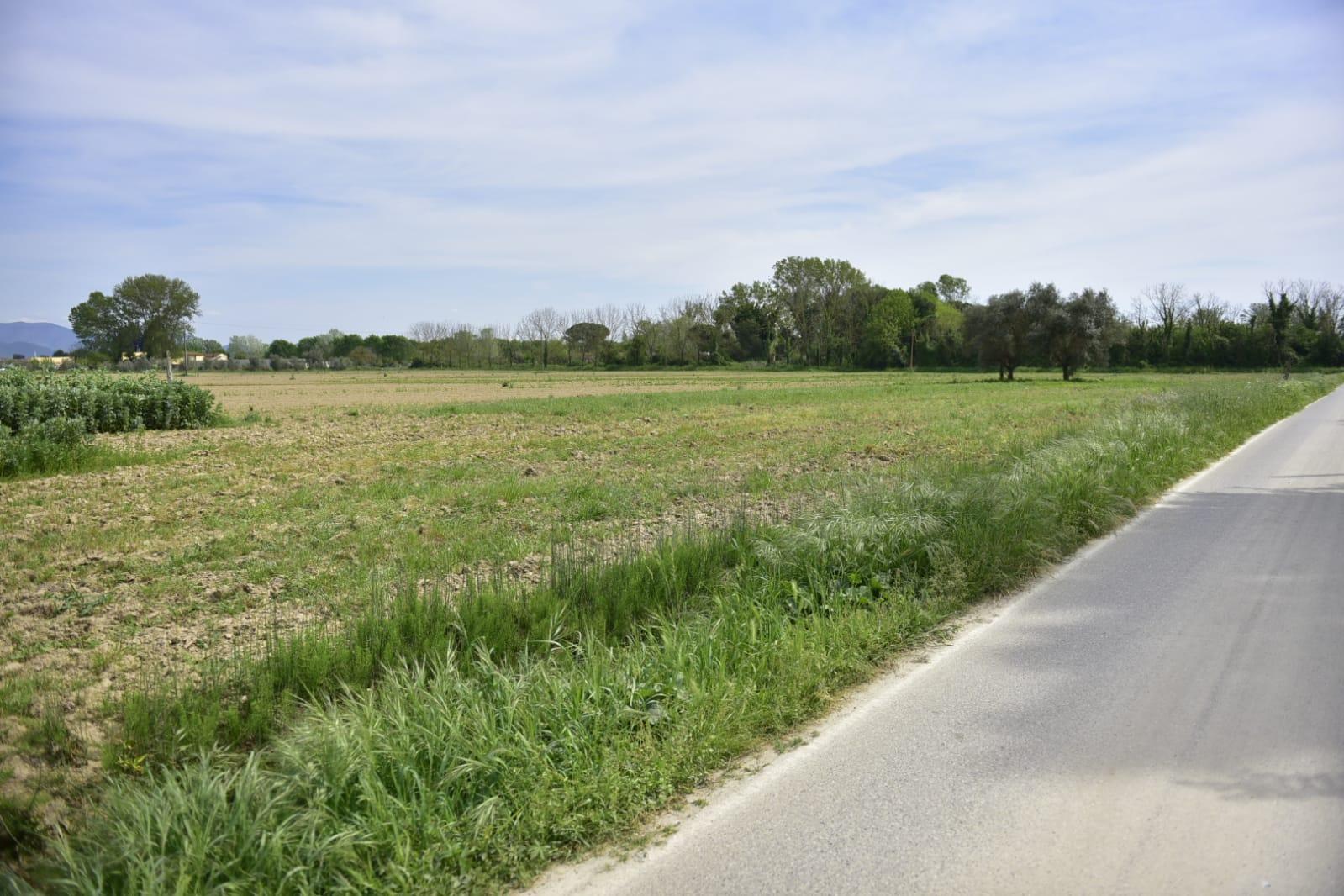 La zona di campagna in cui è avvenuto l’incidente ai danni del bimbo di 9 anni rimasto sotto al trattore in casa dei nonni (Foto Muzzi/Cappello)