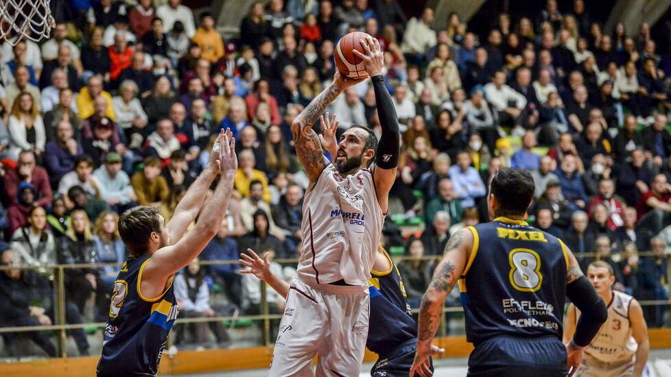 Libertas, i playoff in anticipo: ecco Herons che non perde da gennaio