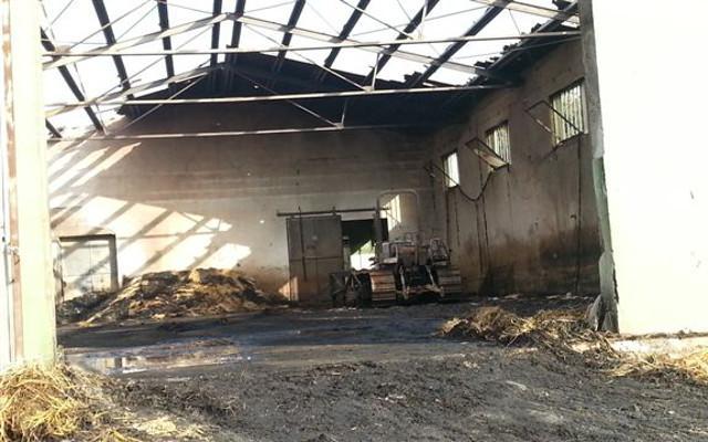 Incendio distrugge un’azienda agricola, morte sedici pecore 
