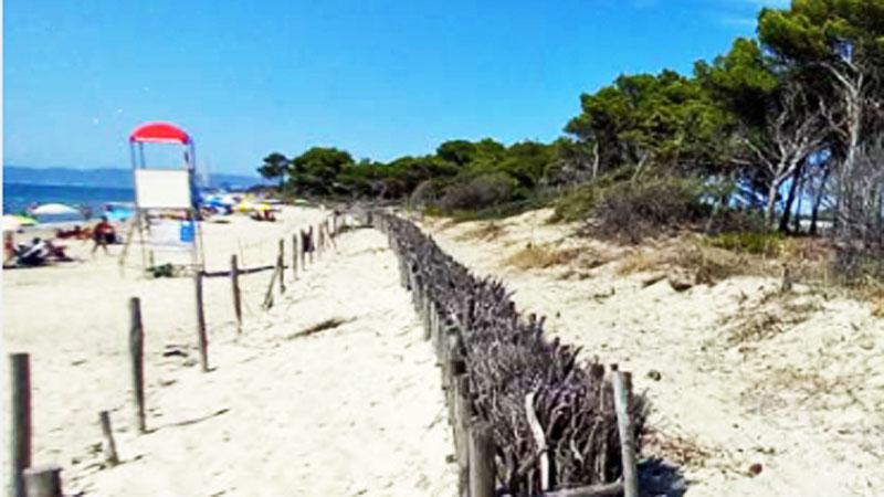 Dune della Sterpaia, la tutela diventa un caso internazionale