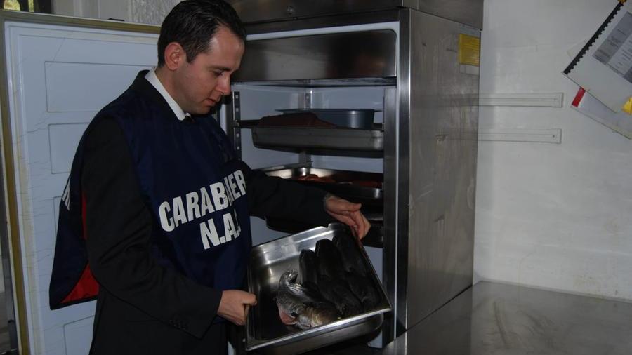 Niente abbattimento per il pesce servito crudo: chiuso un ristorante cinese a Cagliari