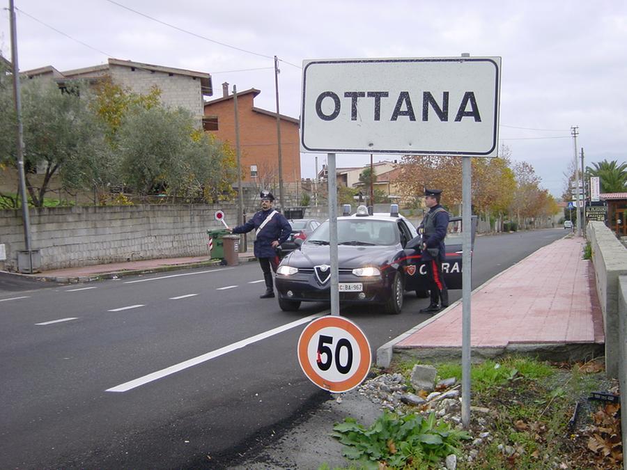 Non ha aggiornato i registri di stalla: 30mila euro di sanzioni per un allevatore del Nuorese