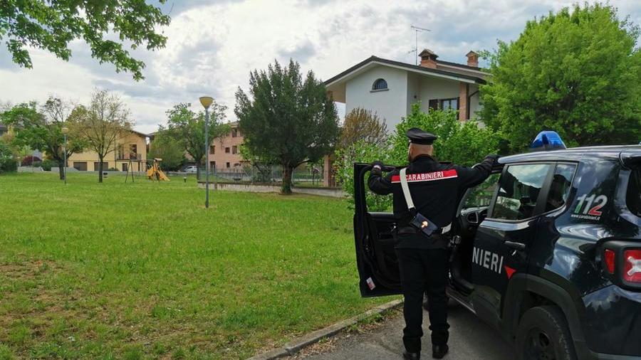 Aggredisce il cane e minaccia con un coltello la proprietaria, denunciato