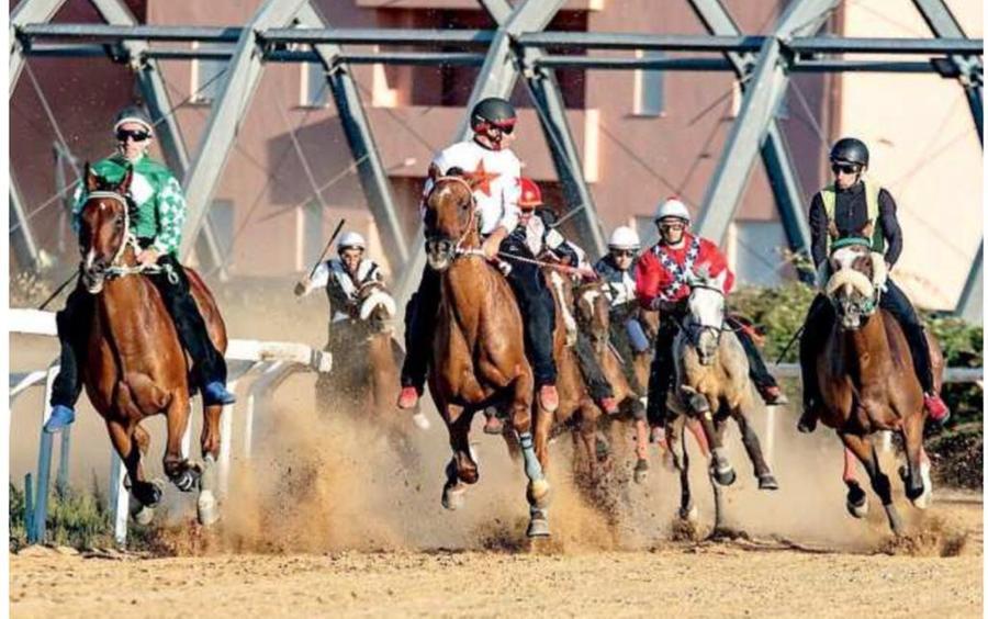 Il Palio di Siena riparte all’insegna dell’anglo arabo sardo