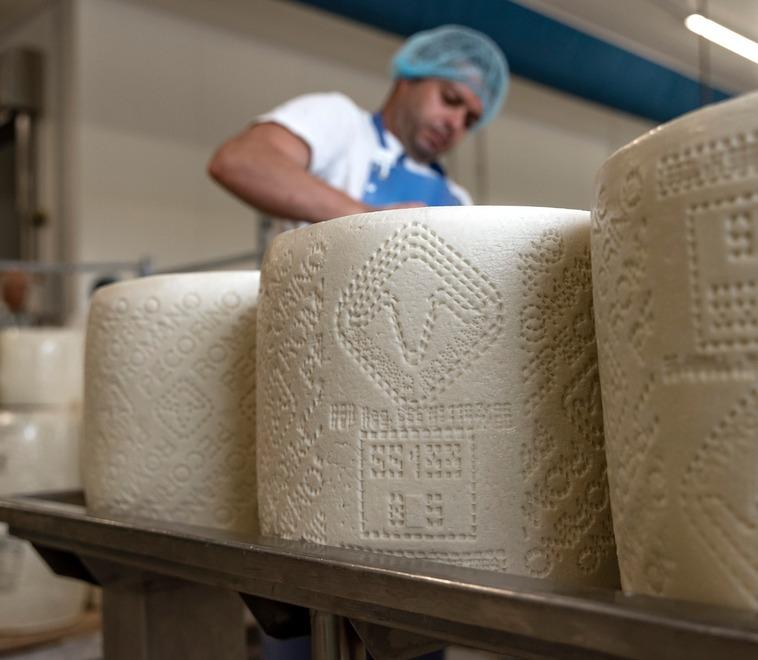 Crescono le esportazioni dall’isola, il mercato vale 475 milioni all’anno 