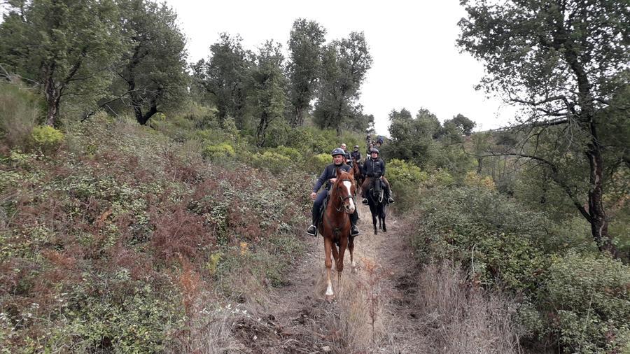 
	Una passeggiata a cavallo&nbsp;

