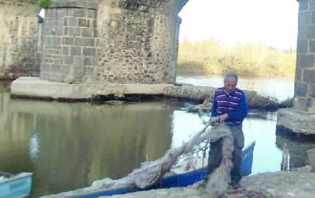 Orosei, invasione dei granchi blu: la Coop pesca lancia l'Sos