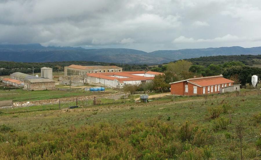 
	La colonia penale di Mamone

