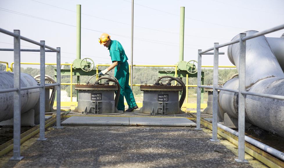 Ferrara Tua, conti esaltanti grazie a Hera