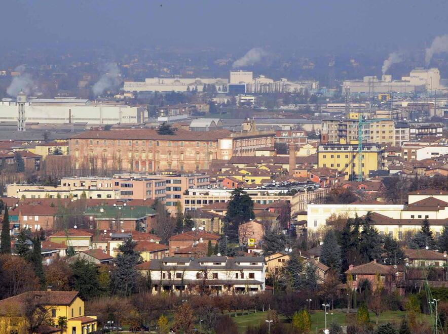 Sassuolo. Il Pug della città non va sui social Il motivo? «Rischio leoni da tastiera» 