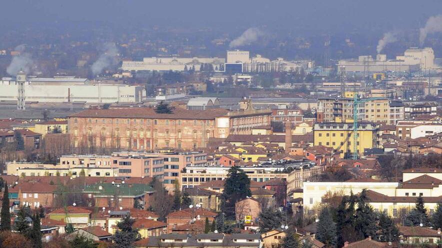 Sassuolo. Il Pug della città non va sui social Il motivo? «Rischio leoni da tastiera»
