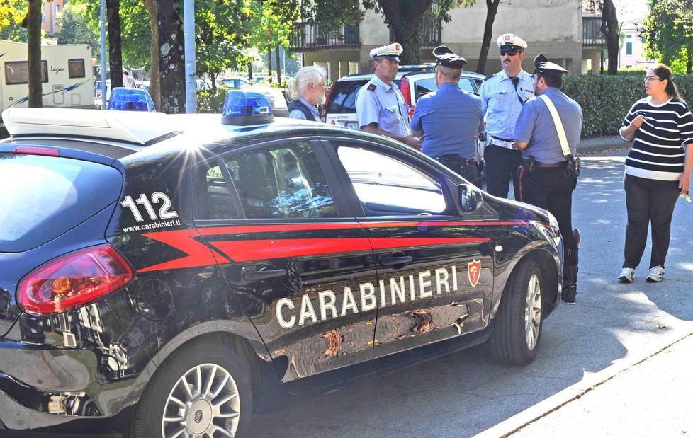 Una dozzina di persone morse, caccia al randagio 
