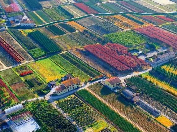 «Vivaismo danneggiato» Tutti contro la Regione 