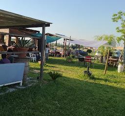 Furto nella notte agli «Orti in famiglia», spariscono le galline