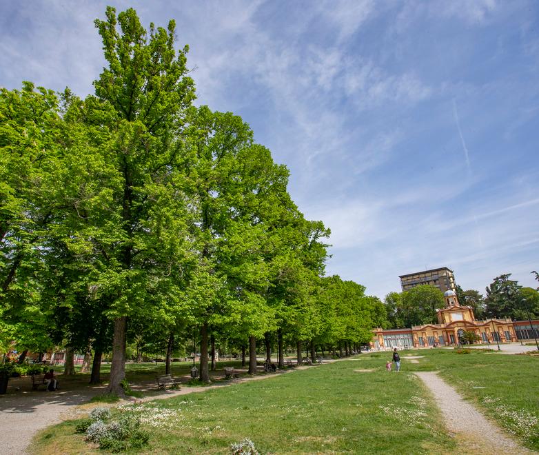 Modena, più alberi che abitanti Siamo la città più verde d’Italia