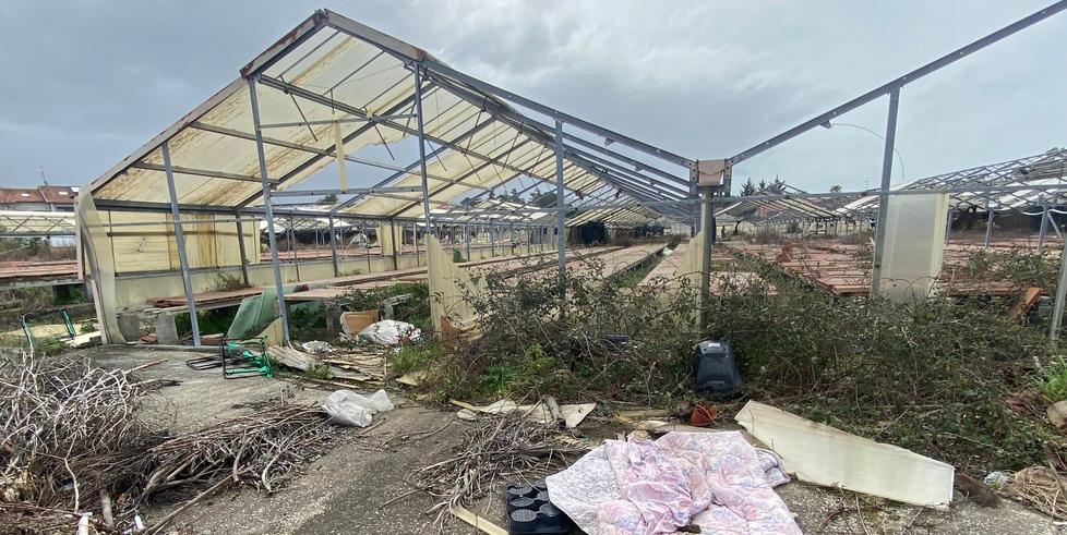 Scopaia, alle ex serre Labrogarden rischio contenzioso da due milioni