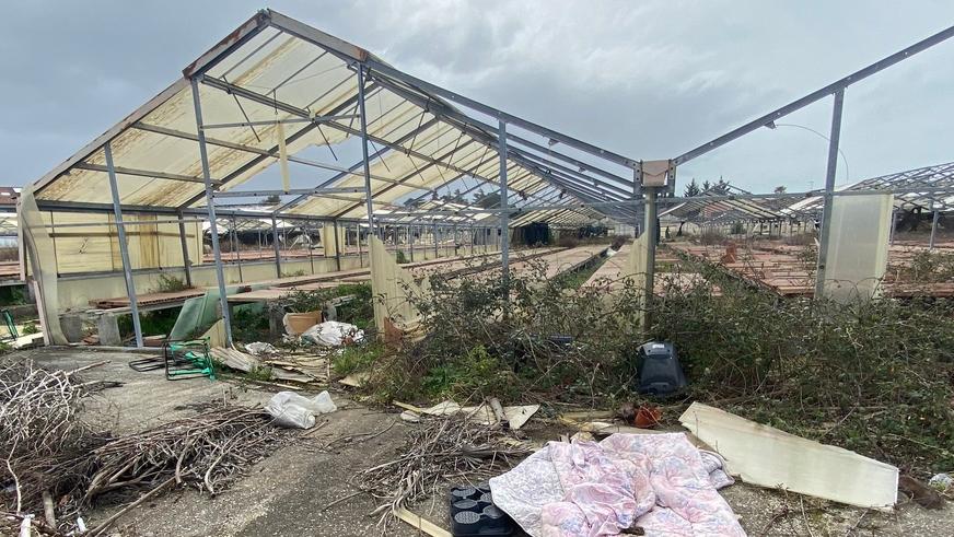 Scopaia, alle ex serre Labrogarden rischio contenzioso da due milioni