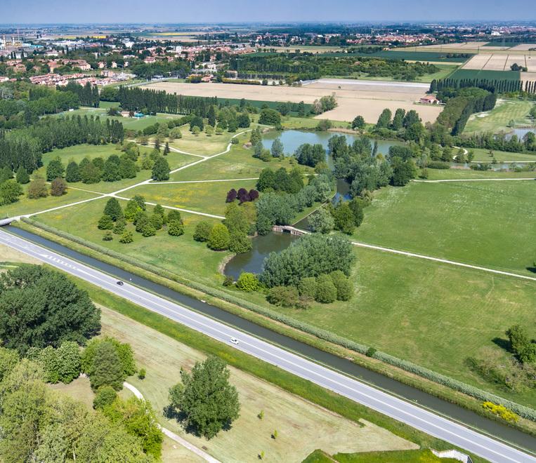 Ferrara, Italia Nostra: «Parco Bassani, tanta leggerezza, chiederemo conto al Comune»