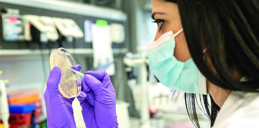 La pandemia silente, super-batteri resistenti agli antibiotici: «È emergenza globale»