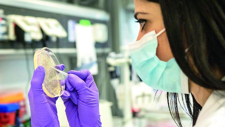 La pandemia silente, super-batteri resistenti agli antibiotici: «È emergenza globale»