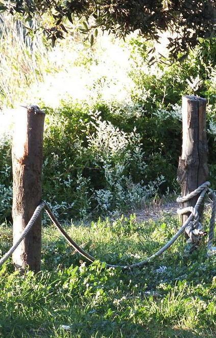 Via le corde dalla palizzata Vandali sempre scatenati 