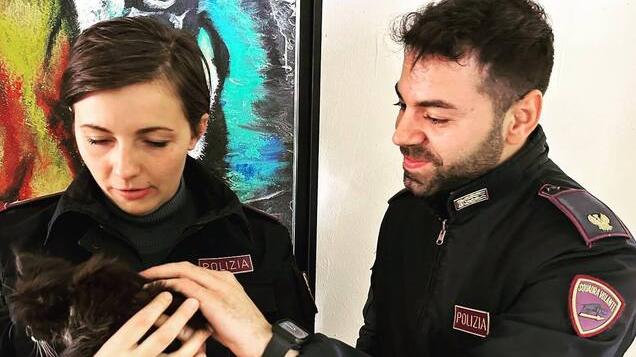 Pisa, i poliziotti liberano un micio prigioniero in un’auto in sosta