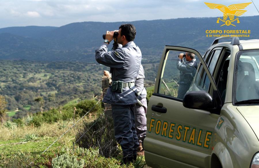 
	Agenti della Forestale in osservazione

