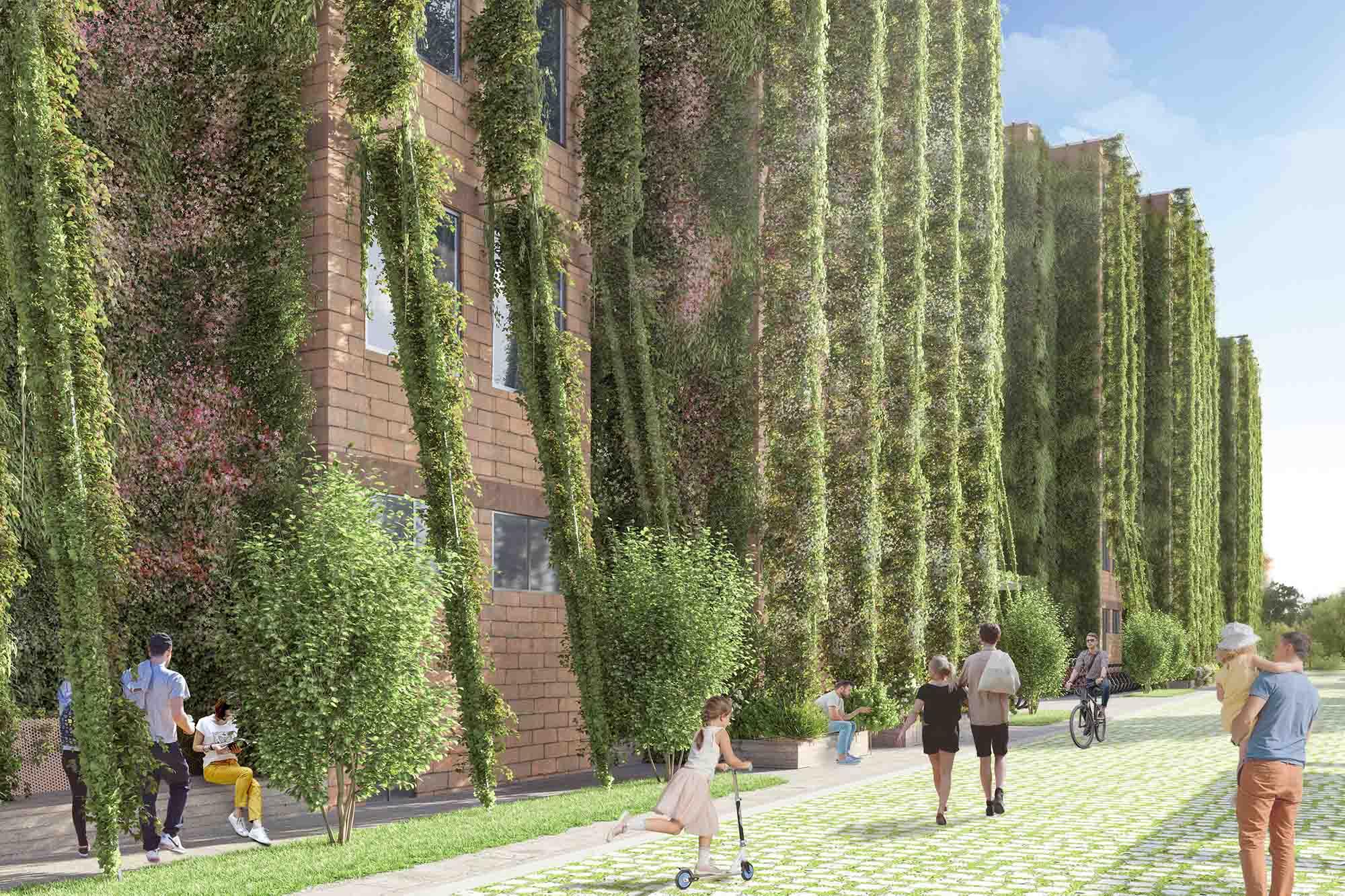 Prato si tinge di verde: 60 alberi saranno piantati in giro per la città