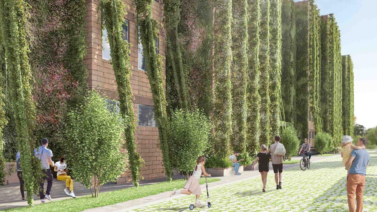 Prato si tinge di verde: 60 alberi saranno piantati in giro per la città