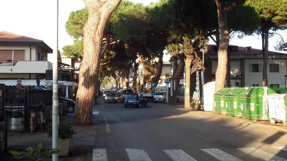 Properzi (Wwf) «Le critiche al Pit mi sorprendono»