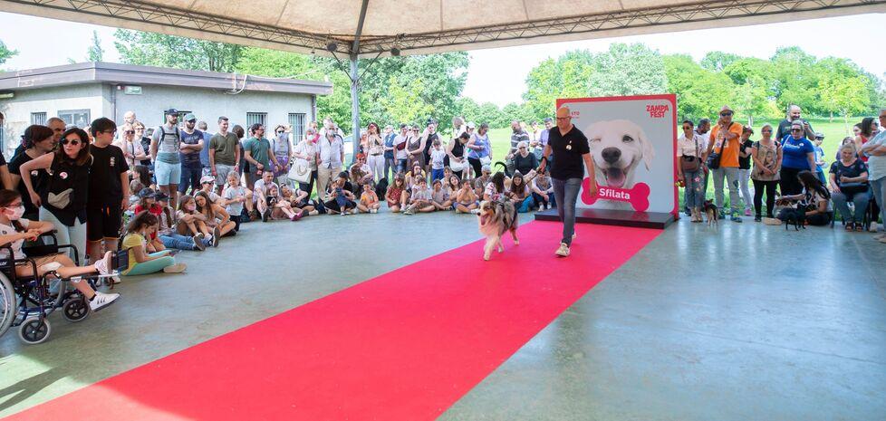 Modena Domenica c’è Zampa Fest Chef Spyros ospite d’onore 