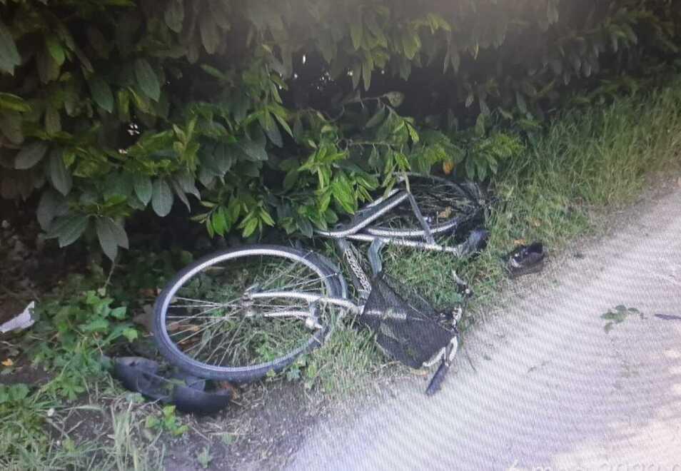 Filo di Argenta, travolta in bici: è gravissima