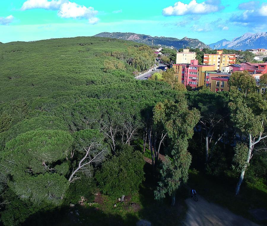 Nuoro, a processo per 30 euro di legna: viene assolto dopo due anni